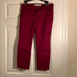 Berry pixie cut pants